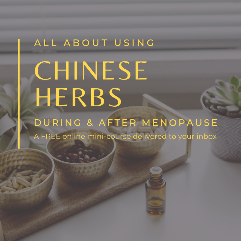 The Best HormoneHealthy Chocolate Avocado Recipes Dana LaVoie, LAc