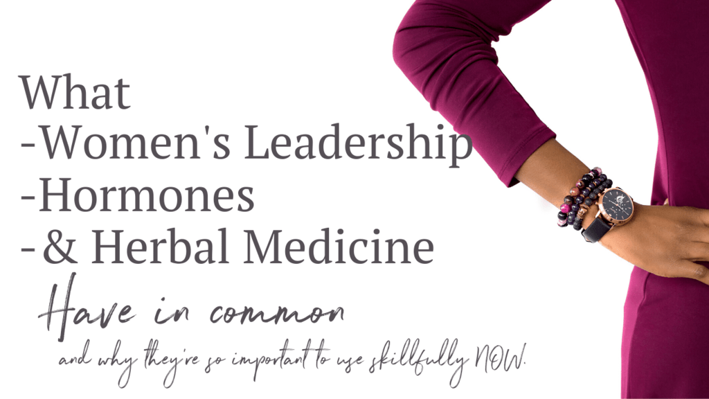 womens leadership menopause and herbal medicine