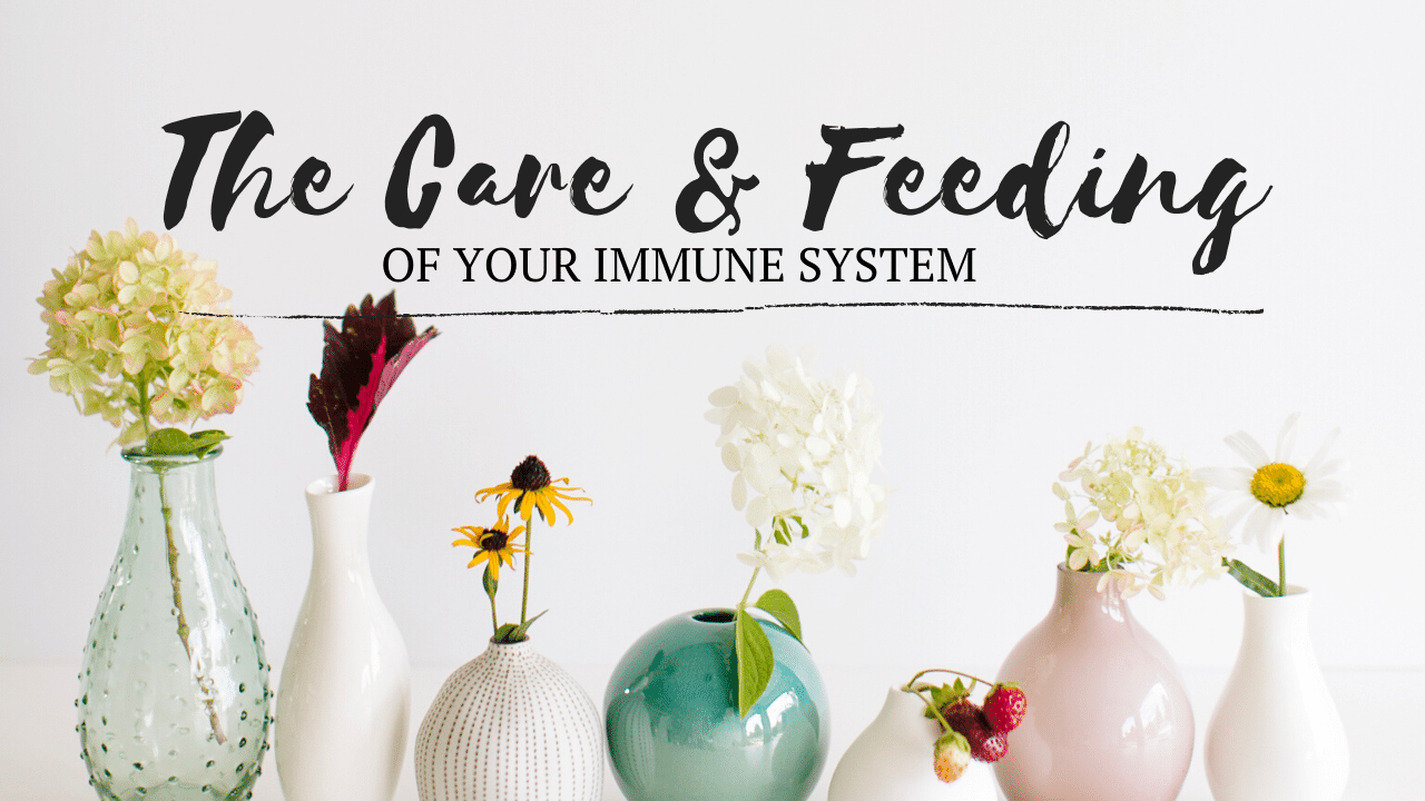 The Care and Feeding Of Your Immune System Dana LaVoie, LAc