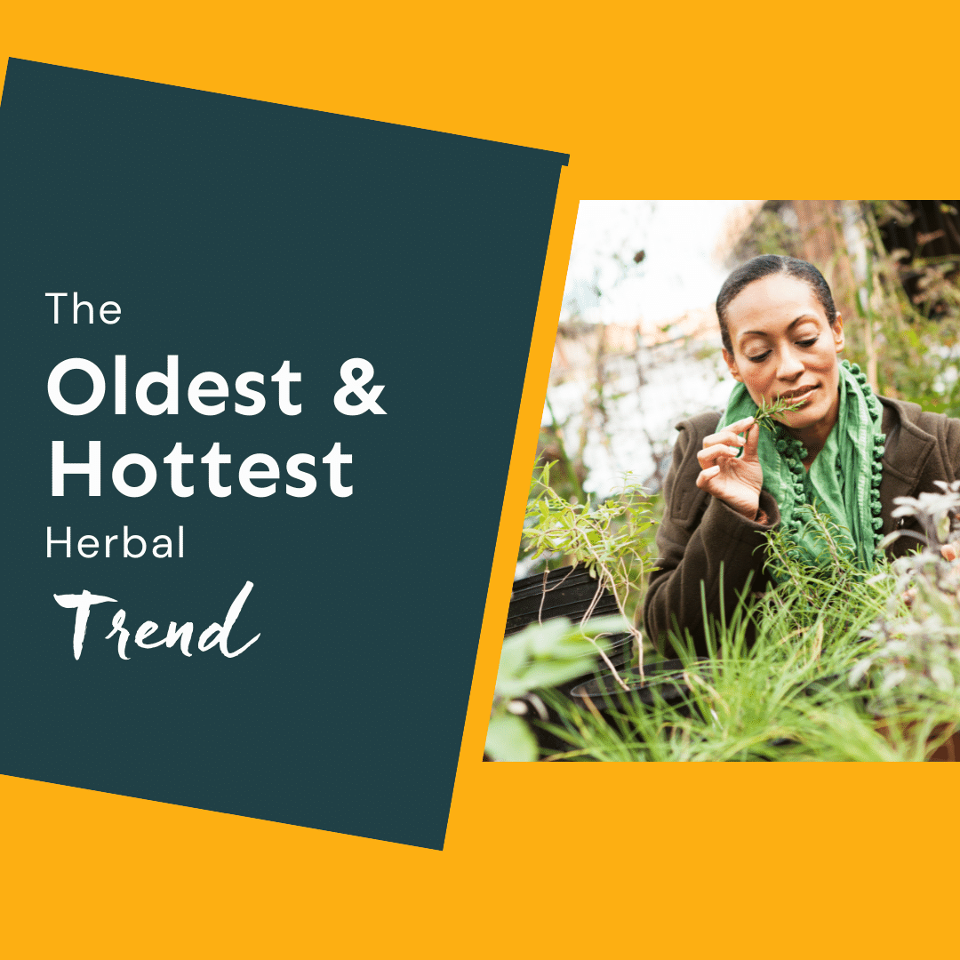 herbal trend adaptogens